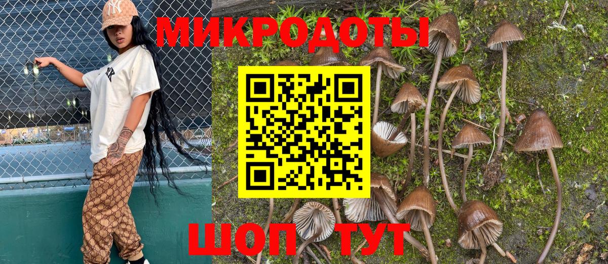 Златоуст  Псилоцибиновые грибы Psilocybe  Галлюциногенные грибы Magic Shrooms  Вход с VPN 